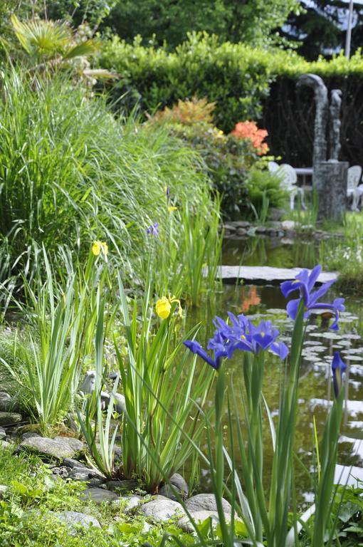 Villa Del Gusto Bellinzona Bagian luar foto
